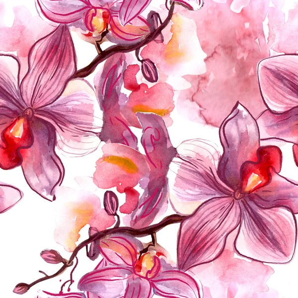 Handgeschilderde aquarel illustratie Zeppelin Singapore orchidee. — Stockfoto