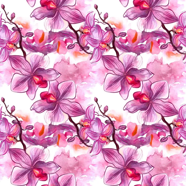 Ręcznie malowane akwarela ilustracja simbol Singapur Orchidea. — Zdjęcie stockowe