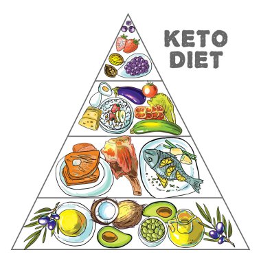  Çizilmiş vektör çizim Ketodiet beslenme el ve 