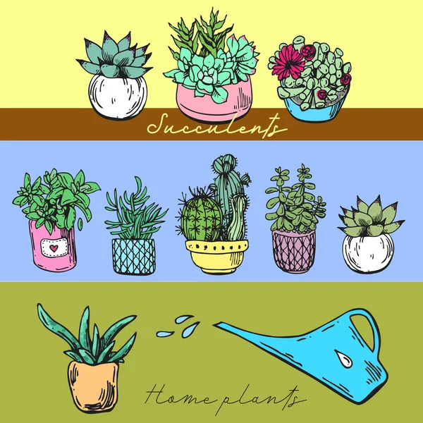 Les plantes sont prêtes. Beau dessin dessiné à la main style croquis . — Image vectorielle