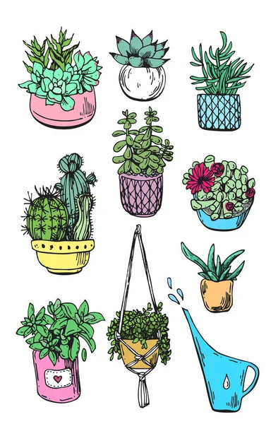 Les plantes sont prêtes. Beau dessin dessiné à la main style croquis . — Image vectorielle