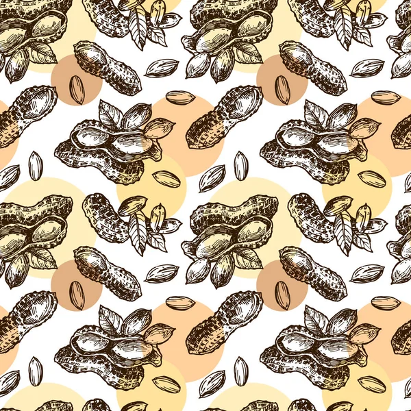 Desenho de amendoim ilustração. Conjunto bonito desenhado à mão de amendoim . —  Vetores de Stock