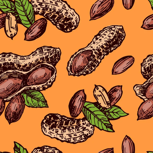 Desenho de amendoim ilustração. Conjunto bonito desenhado à mão de amendoim . — Vetor de Stock