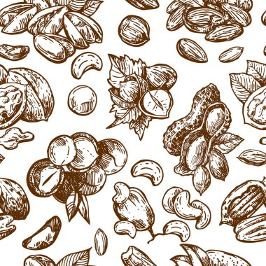 Fındık set kroki tarzı gıda illüstrasyonları. El çizilmiş güzel resimler