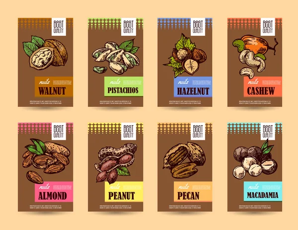 Nuts definir ilustrações de comida estilo esboço. Mão desenhado belas imagens —  Vetores de Stock