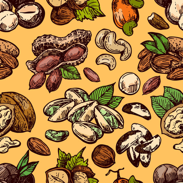 Nuts set sketch style food illustrations. Hand drawn beautiful pictures