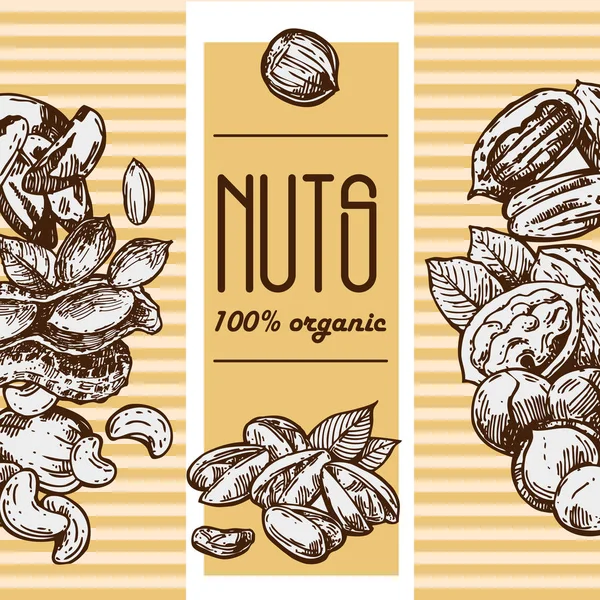 Le noci impostano illustrazioni alimentari in stile schizzo. Disegnato a mano belle immagini — Vettoriale Stock