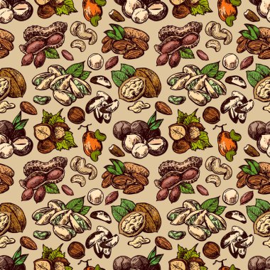 Fındık set kroki tarzı gıda illüstrasyonları. El çizilmiş güzel resimler