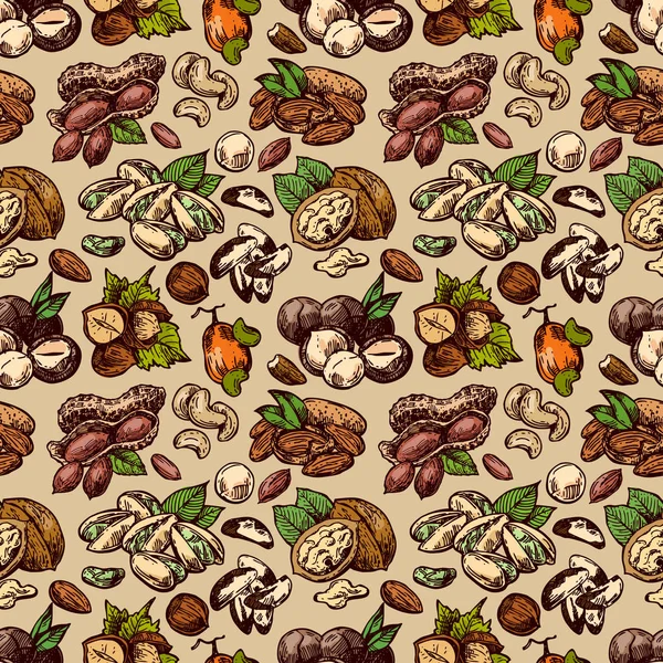 Sady na ořechy se nastavují ve stylu potravinové ilustrace. Ručně kreslené nádherné obrázky — Stockový vektor