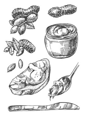 Fıstık kroki Illustration. El çizilmiş güzel zemin somun seti.