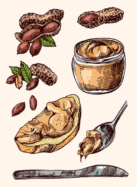 Иллюстрация арахисового наброска. Ручной рисунок красивый набор арахиса . — стоковый вектор