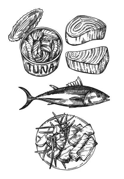 Illustrazione vettoriale del tonno schizzo. Set disegnato a mano di immagini con pesce . — Vettoriale Stock