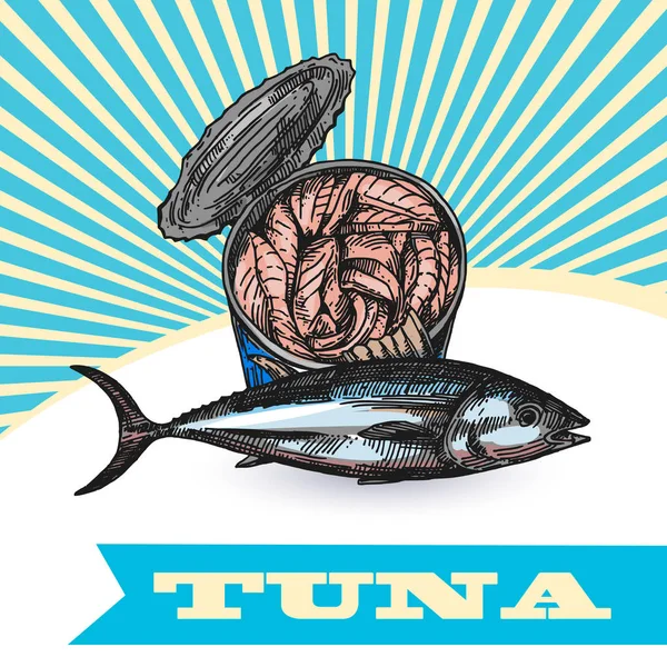 Desenho de atum ilustração vetorial. Conjunto desenhado à mão de quadros com peixe. Iluminação de comida de cardápio de cuidado . —  Vetores de Stock