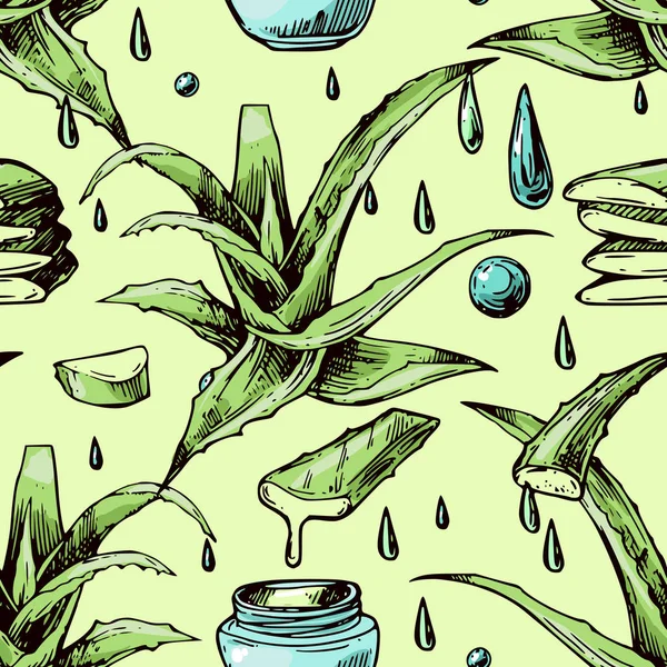 Aloe vera esboço ilustração vetorial. Estilo desenhado à mão . — Vetor de Stock