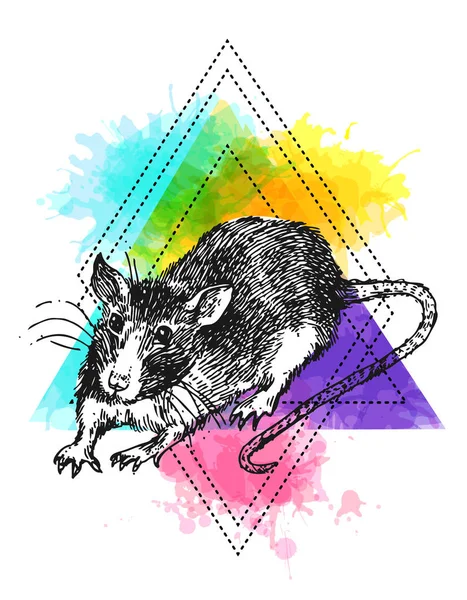 Dibujo de rata ilustraciones vectoriales. Cuadro dibujado a mano con ratón . — Vector de stock