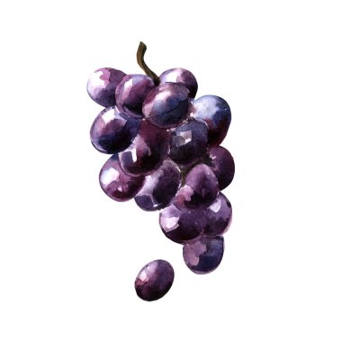 El çizilmiş güzel suluboya illüstrasyon kırmızı şarap. Restoran menüsü için perphect.