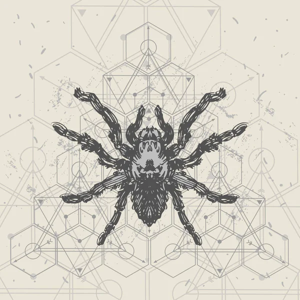 Pók és szent geomerty vázlat vektor illusztráció. — Stock Vector
