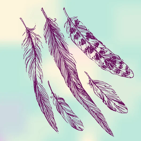 Feathers sketch. Hand drawn vector beautiful illustration. — Stock Vector