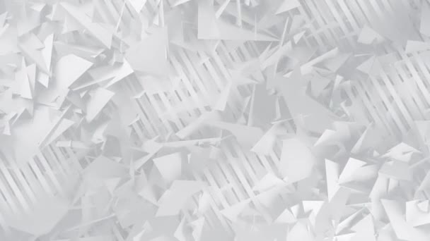Polygone und Linien weißer geometrischer abstrakter Hintergrund — Stockvideo