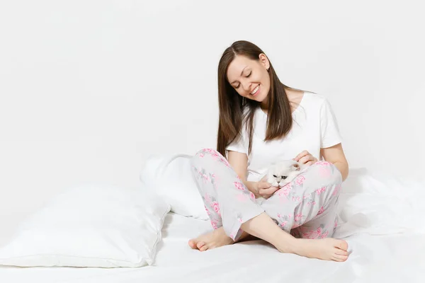 Ung Kvinna Sitter Sängen Med Vita Söta Persiska Silver Chinchilla — Stockfoto