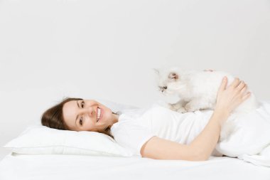 Sakin genç kadın beyaz sevimli Farsça gümüş chinchilla kedi, sac, yastık, battaniye beyaz arka plan üzerinde ile yatakta yalan. Odada vakit geçirmek güzellik kadın. Dinlenmek, iyi bir ruh hali kavramı sakin ol. Kopya alanı