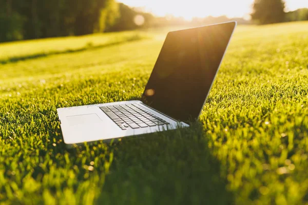 Close up laptop pc computer with blank black empty screen to copy space in park on vibrant spring green fresh grass, sunshine lawn meadow outdoors on nature. Mobile Office. Freelance business concept