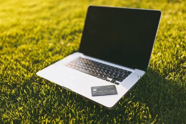 Kredi banka kartı, dizüstü pc bilgisayar boşluk canlı bahar yeşil taze ot, açık havada güneş Park'ta kopyalamak için boş siyah Boþ ekran ile kapatın. Mobil ofis. Serbest iş kavramı.