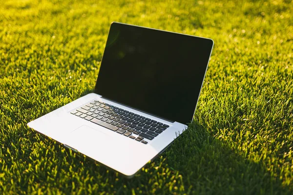 Dizüstü pc bilgisayar boş siyah Boþ ekran alanı kopyalamak için park canlı bahar yeşil taze çimenlerin üzerinde açık havada doğa üzerinde güneş çim çayır ile kapatın. Mobil ofis. Serbest iş kavramı
