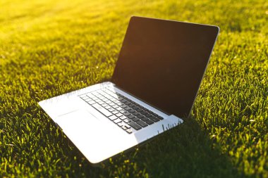 Dizüstü pc bilgisayar boş siyah Boþ ekran alanı kopyalamak için park canlı bahar yeşil taze çimenlerin üzerinde açık havada doğa üzerinde güneş çim çayır ile kapatın. Mobil ofis. Serbest iş kavramı