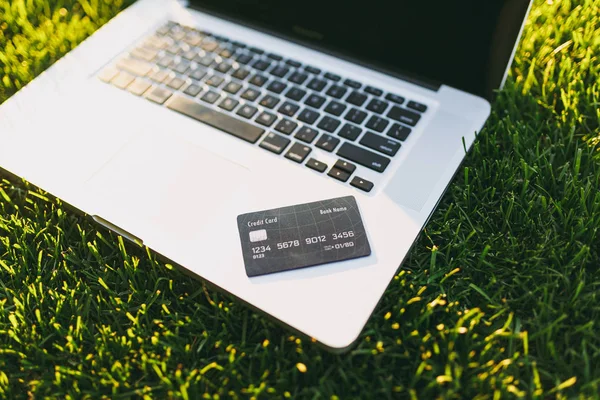 Close up credit bank card, laptop pc computer with blank black empty screen to copy space in park on vibrant spring green fresh grass, sunshine outdoors. Mobile Office. Freelance business concept.