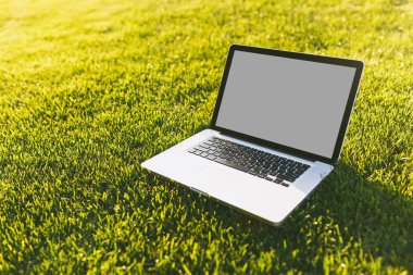 Dizüstü pc bilgisayar boş siyah Boþ ekran alanı kopyalamak için park canlı bahar yeşil taze çimenlerin üzerinde açık havada doğa üzerinde güneş çim çayır ile kapatın. Mobil ofis. Serbest iş kavramı