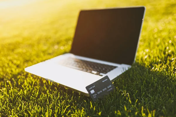 Kredi banka kartı, dizüstü pc bilgisayar boşluk canlı bahar yeşil taze ot, açık havada güneş Park'ta kopyalamak için boş siyah Boþ ekran ile kapatın. Mobil ofis. Serbest iş kavramı.