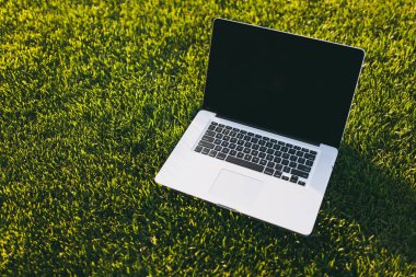 Dizüstü pc bilgisayar boş siyah Boþ ekran alanı kopyalamak için park canlı bahar yeşil taze çimenlerin üzerinde açık havada doğa üzerinde güneş çim çayır ile kapatın. Mobil ofis. Serbest iş kavramı