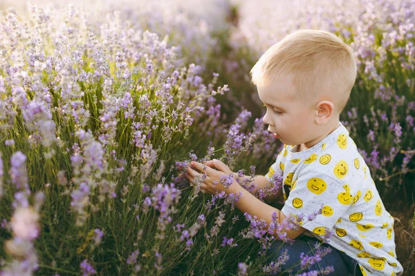 Pequeño Niño Tierno Lindo Bebé Sentado Campo Pradera Flor Lavanda — Foto de Stock