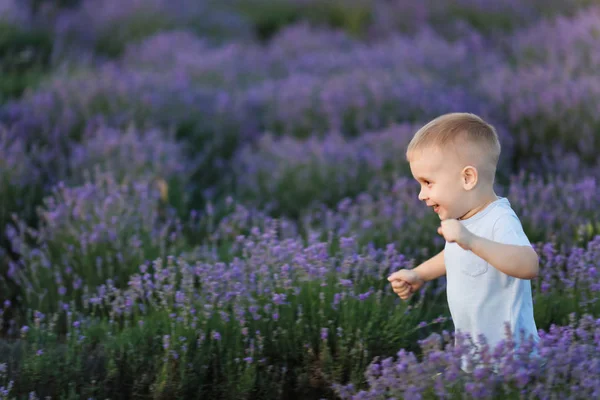 Pequeño Niño Lindo Juguetón Bebé Caminar Sobre Fondo Campo Pradera — Foto de Stock