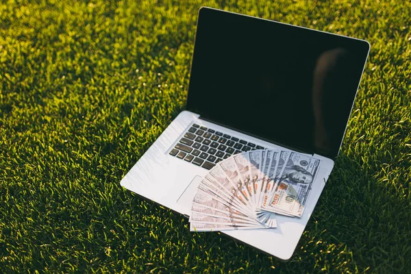 Dolar, nakit para, dizüstü pc bilgisayar boş siyah Boþ ekran kopya alanı canlı bahar yeşil taze ot, Güneş çim açık havada Park'ta ile kapatın. Mobil ofis. Serbest kavramı