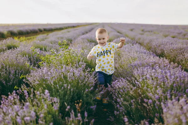 Pequeño Niño Lindo Juguetón Bebé Caminar Sobre Fondo Campo Pradera — Foto de Stock