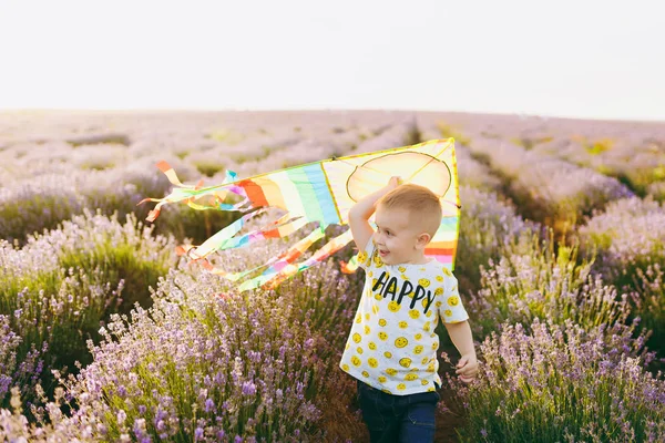 Παιχνιδιάρικο Μικρό Χαριτωμένο Παιδί Μωρό Αγόρι Πόδια Λεβάντας Μοβ Λουλούδι — Φωτογραφία Αρχείου