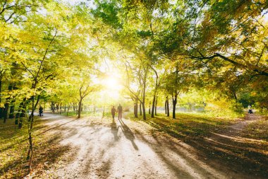 Arka arka görünüm sırt çantası kadınla aşk genç çiftin, eller tarafından yol sonbahar Şehir Park açık havada güneşli bir günde yürürken rahat sıcak giysiler içinde adam. Aşk ilişki aile yaşam tarzı kavramı