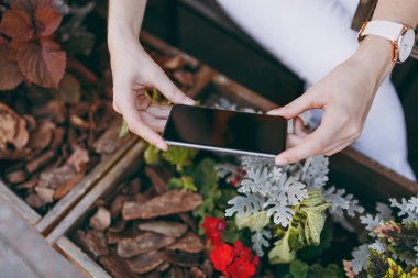 Eller yakından üstünde hareket eden telefon ile boş boş perde resim çekmek. Doğa doku arka plan. Tasarım konsepti. Alanı ise, örnek alay. Reklam alanı. Ek yükü üstten görünüm mockup