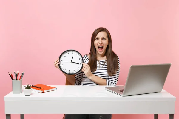 Young angry woman holding round alarm clock screaming while sit work at office with pc laptop isolated on pastel pink background. Achievement business career concept. Copy space. Time is running out