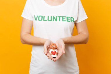 Yazıt yeşil başlık volunteerhold yazılı beyaz t-shirt kadının fotoğrafını kırpılmış küçük melek üzerinde izole sarı arka plana palms. Gönüllü ücretsiz destek yardım, sadaka grace iş kavramı