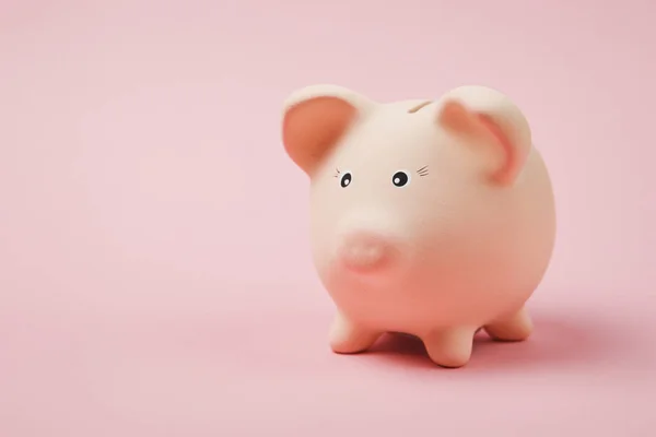 Close up photo of pink piggy money bank isolated on pastel pink wall background. Money accumulation, investment, banking or business services, wealth concept. Copy space advertising mock up