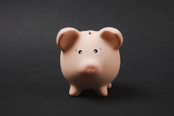 Close up photo of pink piggy money bank isolated on black wall background. Money accumulation, investment, banking or business services, wealth concept. Copy space advertising mock up