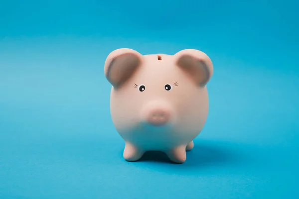 Close up photo of pink piggy money bank isolated on bright blue wall background. Money accumulation, investment, banking or business services, wealth concept. Copy space advertising mock up