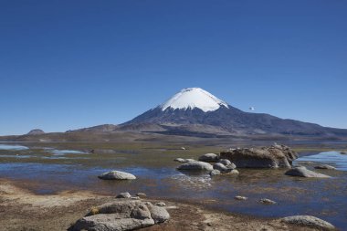 Lake Chungara Dağları kuzey Şili'nda üzerinde yansıması Parinacota volkan, 6,324 m yüksekliğinde, kar şapkalı.