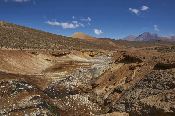 Uttorkade Dalgång Löper Genom Det Färgstarka Ökenlandskapet Lauca Nationalpark Altiplano — Stockfoto