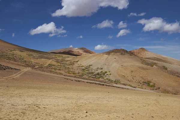 Paysage Désertique Coloré Dans Parc National Lauca Sur Altiplano Nord — Photo