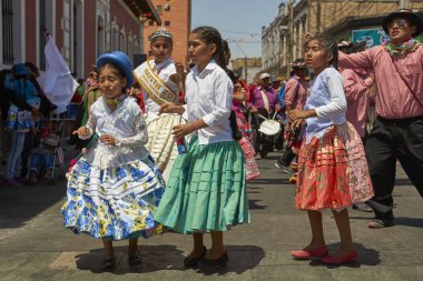 Arica, Chile - 22 Ocak 2016: And dans grubu yıllık Carnaval Andino con la Fuerza del Sol Arica, Şili'de sahne geleneksel kostüm.