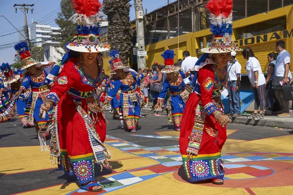 Arica Children January 2016 Tinkus Dance Group Colourful Costume Playing — 图库照片